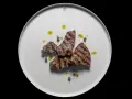 Gebratene Leberstücke mit Kräutern und Olivenöl auf einem weißen Teller. Ein einfaches, aber köstliches Leber Rezept.