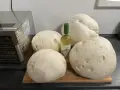 Große Pilze und eine Flasche Weißwein liegen bereit, um sie zu **pilze trocknen**. Ein Dörrautomat steht daneben.