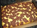 Ein frisch gebackener russischer Zupfkuchen im Blech, mit einem gelben Teig und dunklen Schokoladenstückchen darauf.