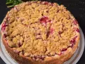 Ein saftiger Rhabarberkuchen in Springform, bedeckt mit knusprigen Streuseln. Perfekt für den Kaffeetisch.