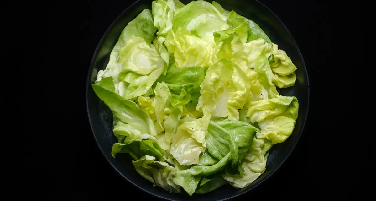 Frischer Kopfsalat in einer Schüssel, bereit für ein einfaches Kopfsalat Rezept.