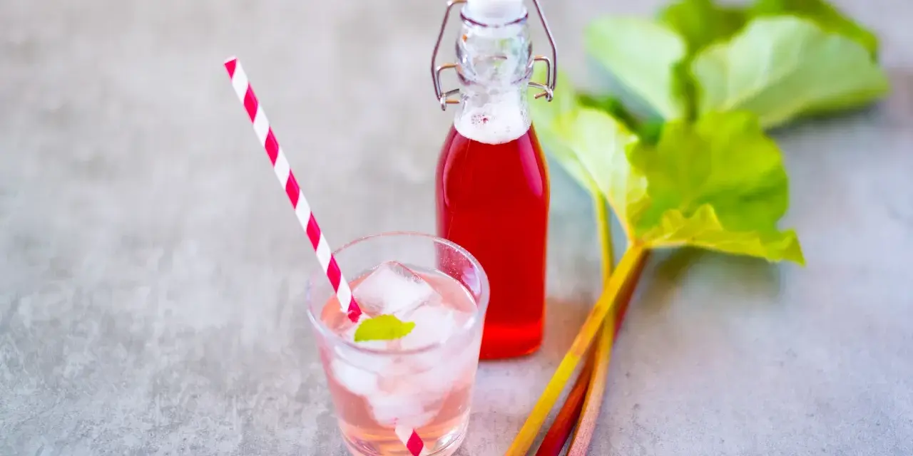 Erfrischendes Getränk mit Rhabarbersirup, Eis und Minze. Frische Rhabarberstangen und Blätter deuten auf ein leckeres Rhabarbersirup Rezept hin.