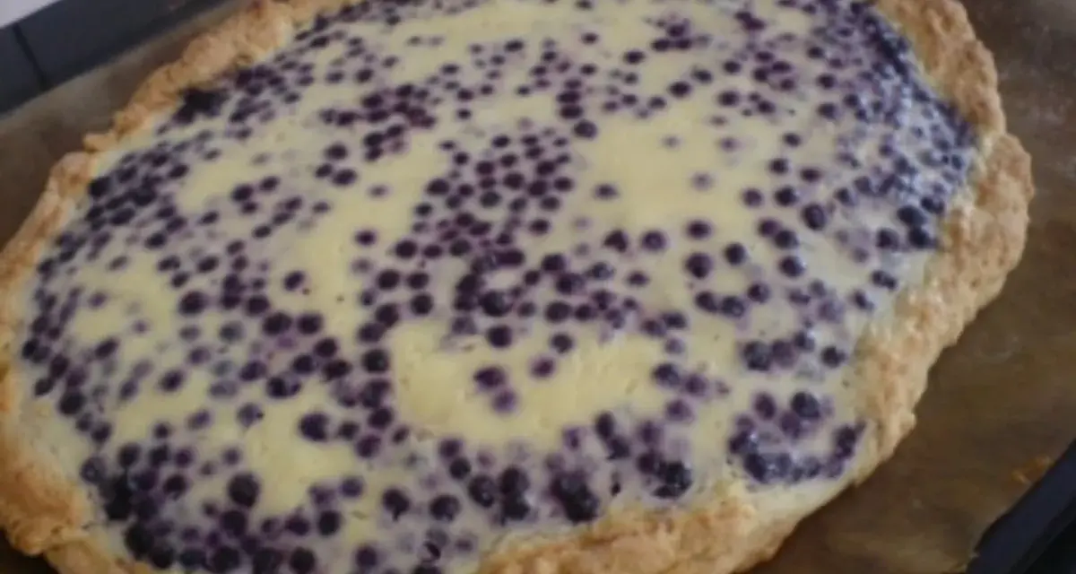 Blaubeerkuchen mit saurer Sahne, ein köstliches Rezept für den Sommer.