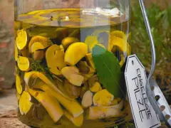 Glas mit eingelegten Pilzen, Kräutern und Lorbeerblatt. Ein Etikett mit der Aufschrift "Eingelegte Pilze" hängt am Glas.
