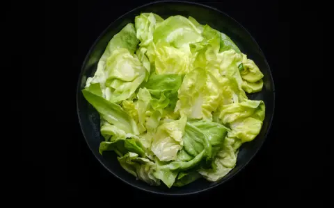 Frischer Kopfsalat in einer Schüssel, bereit für ein einfaches Kopfsalat Rezept.