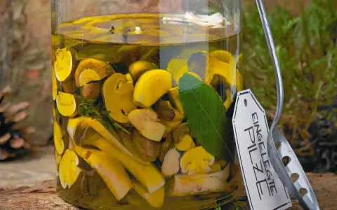 Glas mit eingelegten Pilzen, Kräutern und Lorbeerblatt. Ein Etikett mit der Aufschrift "Eingelegte Pilze" hängt am Glas.