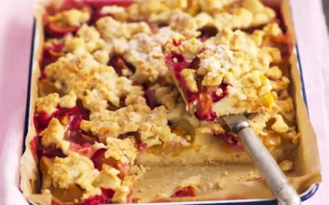 Ein saftiger Pflaumen-Streuselkuchen, perfekt für das prasselkuchen rezept. Die goldbraunen Streusel bedecken die fruchtige Füllung.