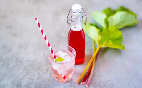 Erfrischendes Getränk mit Rhabarbersirup, Eis und Minze. Frische Rhabarberstangen und Blätter deuten auf ein leckeres Rhabarbersirup Rezept hin.