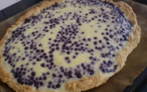 Blaubeerkuchen mit saurer Sahne, ein köstliches Rezept für den Sommer.