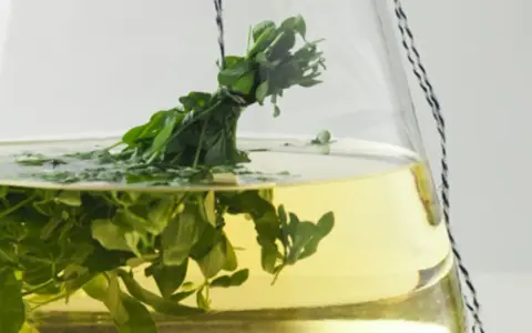 Ein Strauß frischer Waldmeister hängt in einer Glasbowle mit gelblicher Flüssigkeit. Perfekt für ein Maibowle Rezept.