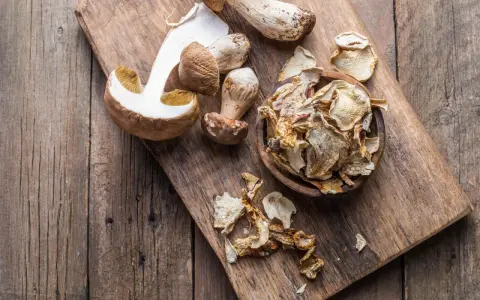 Frische und getrocknete Steinpilze liegen auf einem Holzbrett. Die getrockneten Pilze sind in einer Schale und daneben verteilt, bereit zum Kochen.