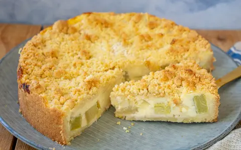 Ein köstlicher Rhabarberkuchen mit Pudding und Streuseln, perfekt für ein Rhabarberkuchen Rezept mit Pudding.