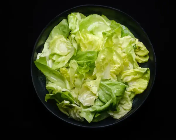 Frischer Kopfsalat in einer Schüssel, bereit für ein einfaches Kopfsalat Rezept.