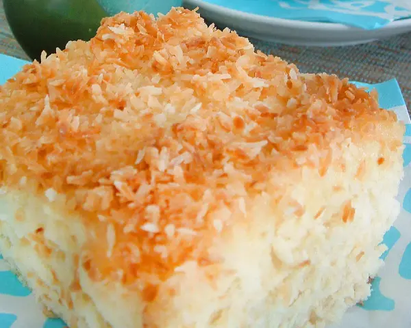 Ein saftiges Stück Buttermilch Kuchen, bestreut mit gerösteten Kokosraspeln.