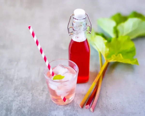 Erfrischendes Getränk mit Rhabarbersirup, Eis und Minze. Frische Rhabarberstangen und Blätter deuten auf ein leckeres Rhabarbersirup Rezept hin.