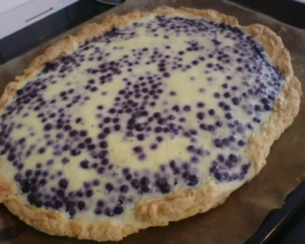 Blaubeerkuchen mit saurer Sahne, ein köstliches Rezept für den Sommer.