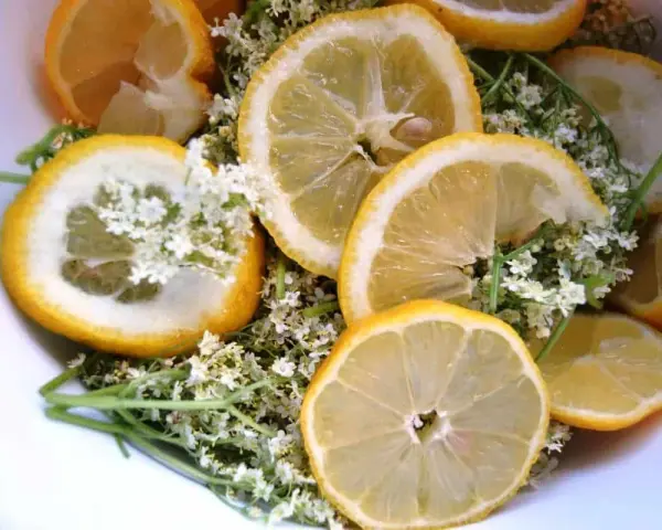 Zitronenscheiben und Holunderblüten, bereit für Omas Holundersirup.