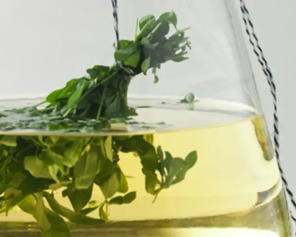 Ein Strauß frischer Waldmeister hängt in einer Glasbowle mit gelblicher Flüssigkeit. Perfekt für ein Maibowle Rezept.