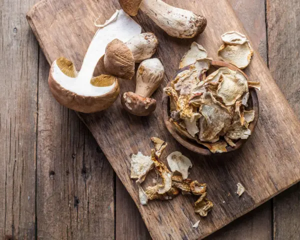Frische und getrocknete Steinpilze liegen auf einem Holzbrett. Die getrockneten Pilze sind in einer Schale und daneben verteilt, bereit zum Kochen.
