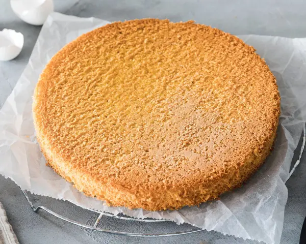 Ein goldbrauner, luftiger Biskuitboden auf Backpapier, bereit für ein köstliches Biskuitboden Rezept.