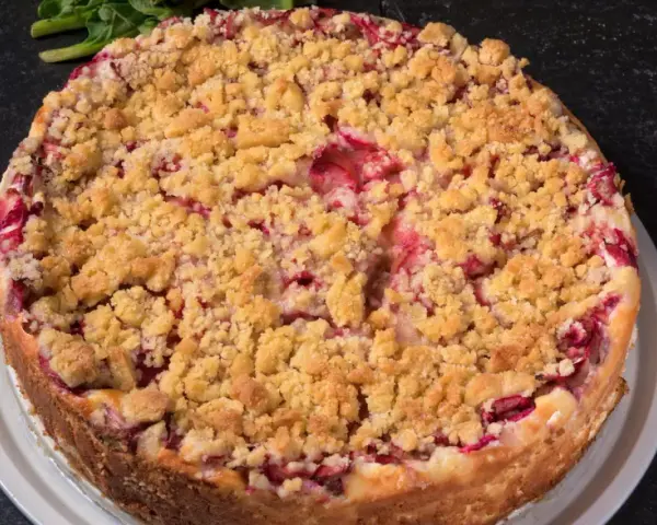 Ein saftiger Rhabarberkuchen in Springform, bedeckt mit knusprigen Streuseln. Perfekt für den Kaffeetisch.