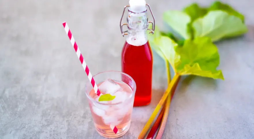 Erfrischendes Getränk mit Rhabarbersirup, Eis und Minze. Frische Rhabarberstangen und Blätter deuten auf ein leckeres Rhabarbersirup Rezept hin.