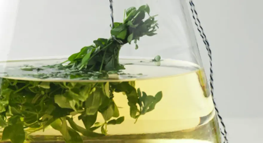 Ein Strauß frischer Waldmeister hängt in einer Glasbowle mit gelblicher Flüssigkeit. Perfekt für ein Maibowle Rezept.