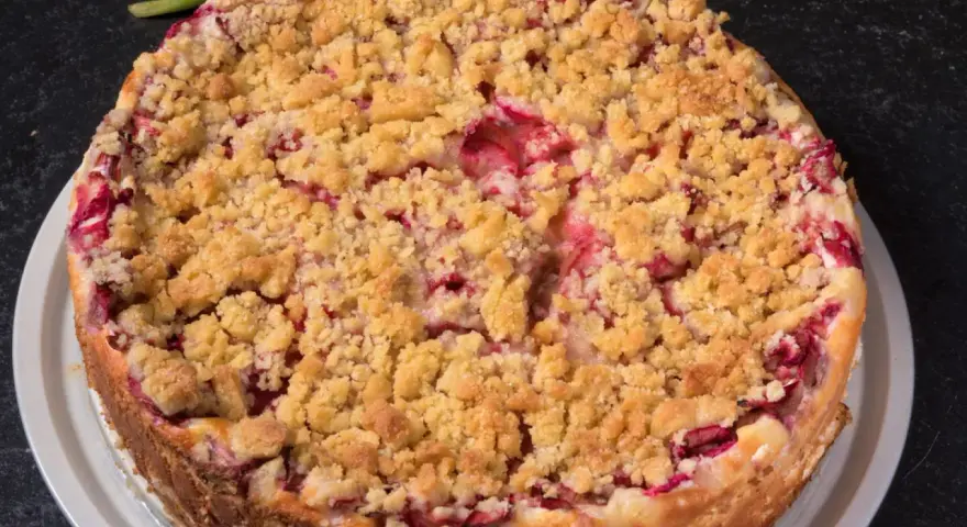 Ein saftiger Rhabarberkuchen in Springform, bedeckt mit knusprigen Streuseln. Perfekt für den Kaffeetisch.