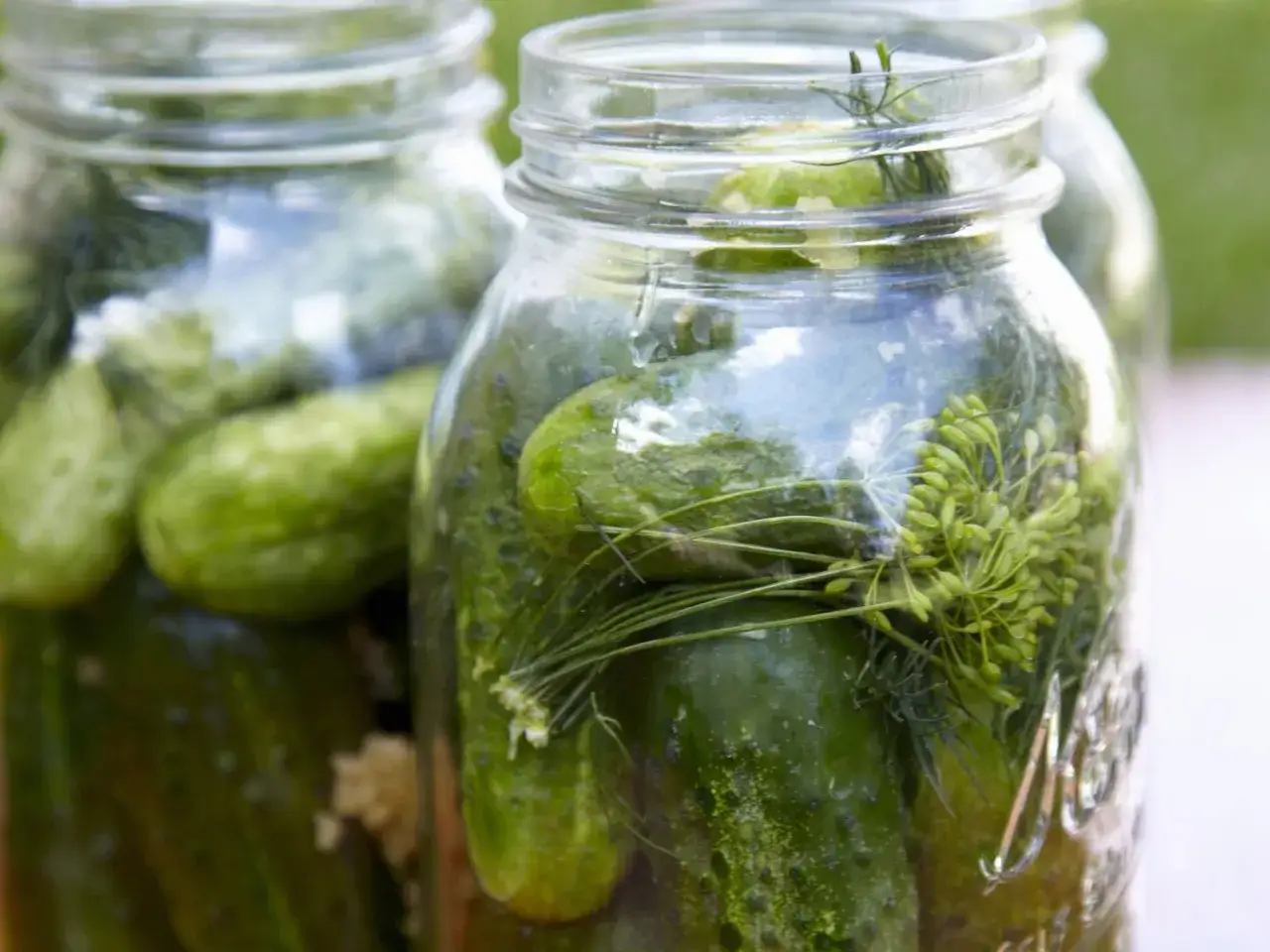 Frisch eingelegte Salzgurken mit Dill in Einmachgläsern. Der Prozess des Salzgurken einlegens beginnt.
