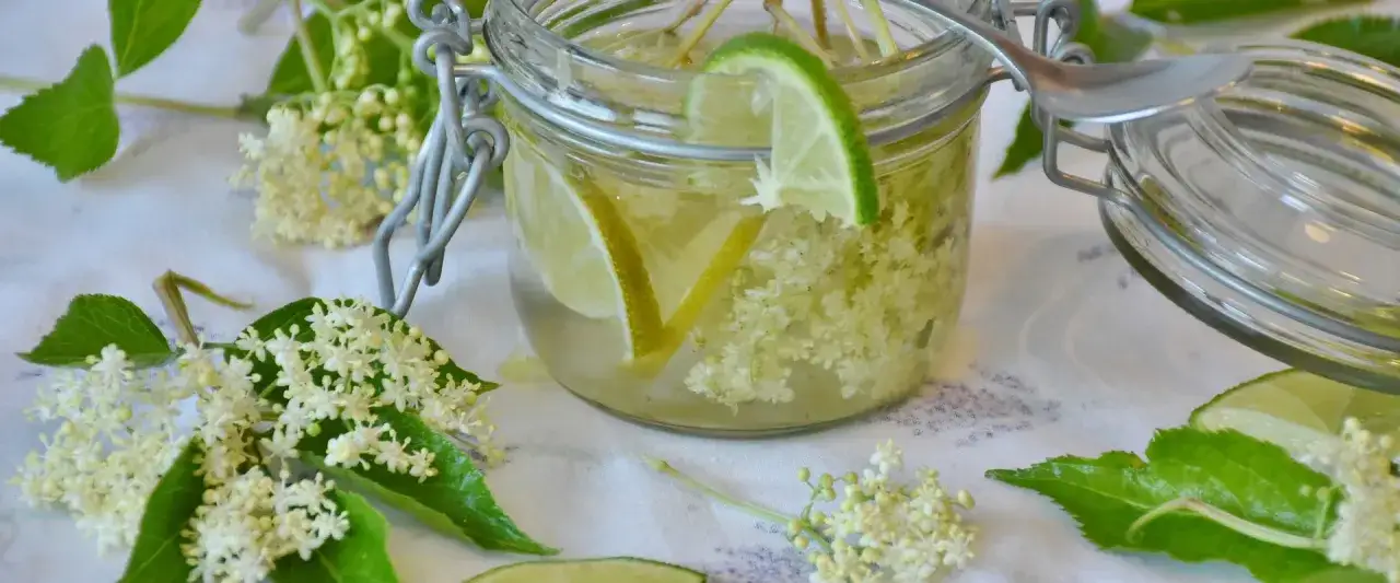 Ein Glas mit Omas Holundersirup, gefüllt mit Holunderblüten und Limettenscheiben. Frische Holunderblüten und Blätter umgeben das Glas.